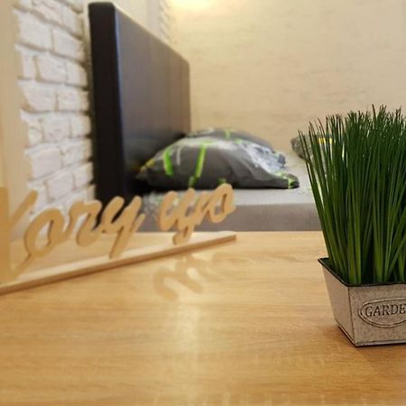 New Luxury Studio Apartment ايفانو - فرانكيفسك المظهر الخارجي الصورة